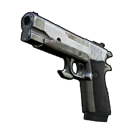 Ballistic Shield