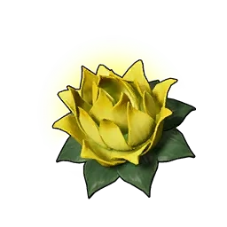 Stamina Lotus (S)