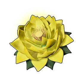 Stamina Lotus (L)