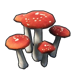Mushroom