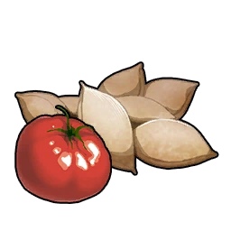 Tomato Seeds